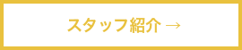 スタッフ紹介